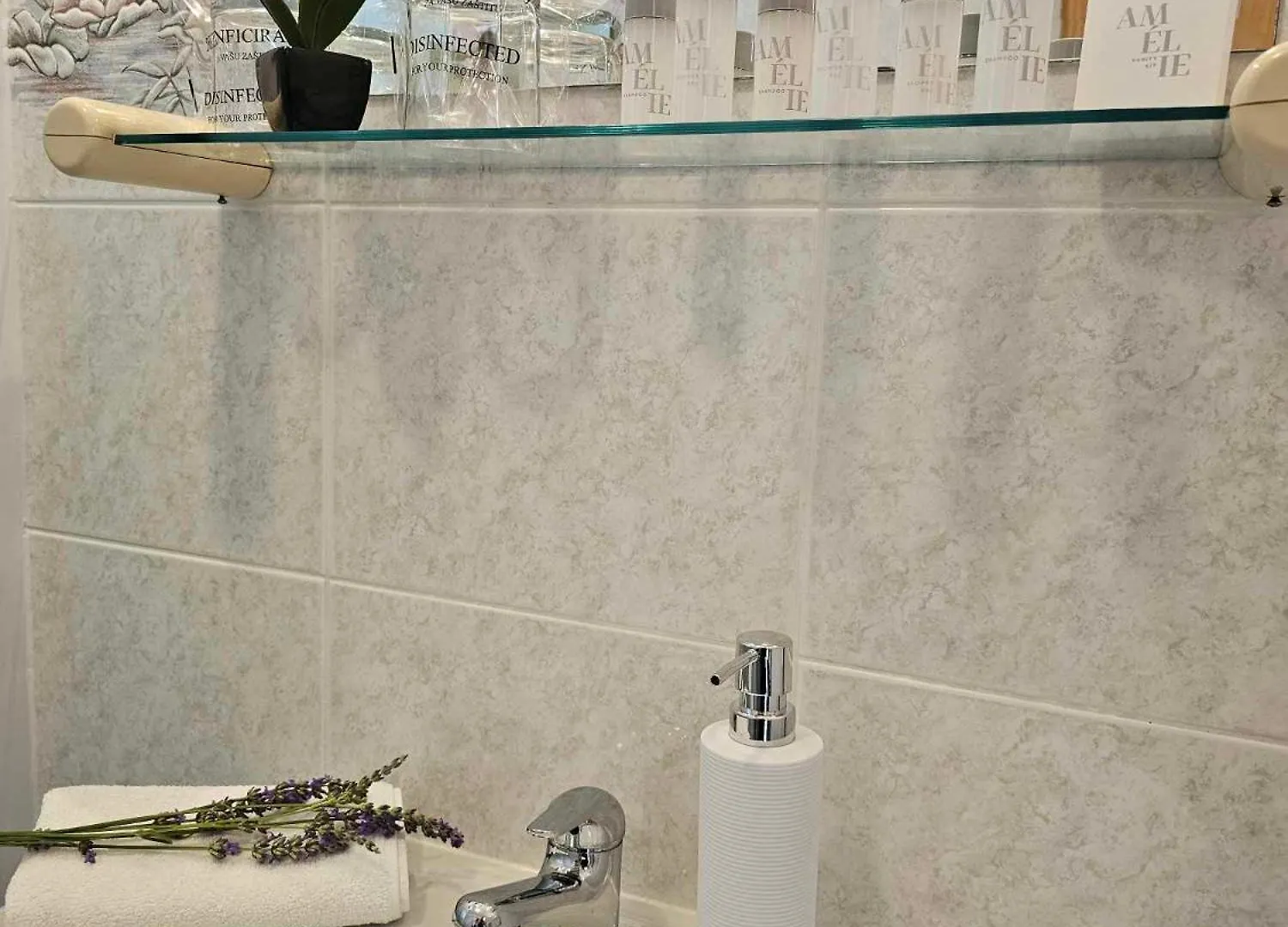 Apartmani Rita Oliva Novigrad Istria Lejlighed