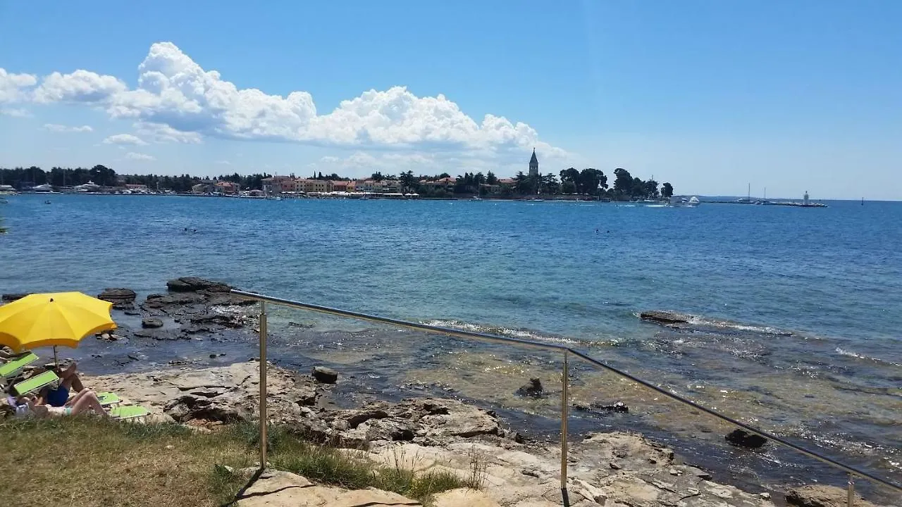 Apartmani Rita Oliva Novigrad  Apartment