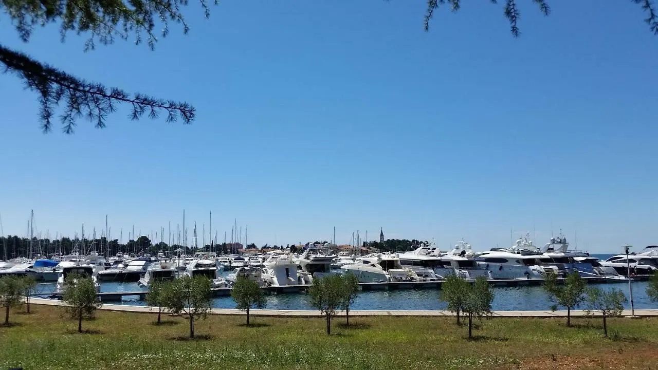 Apartmani Rita Oliva Novigrad